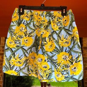 Patagonia baggies, pull on elastic shorts